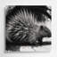 Art animalier gris sauvage-1924229008