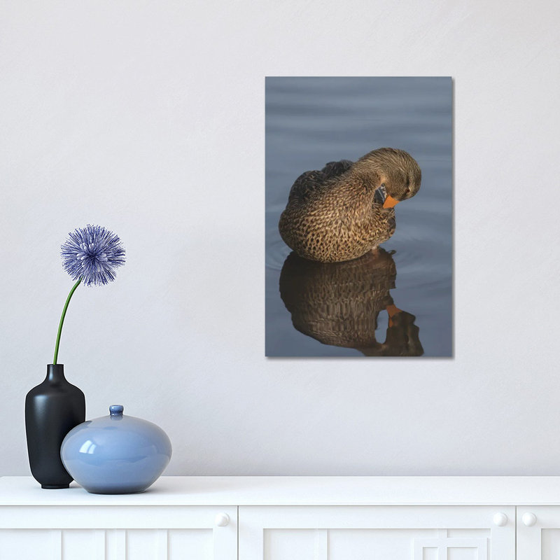 Art of Preening 1 Piece Wrapped Canvas Wall Art, 30.48 cm H x 45.72 cm W