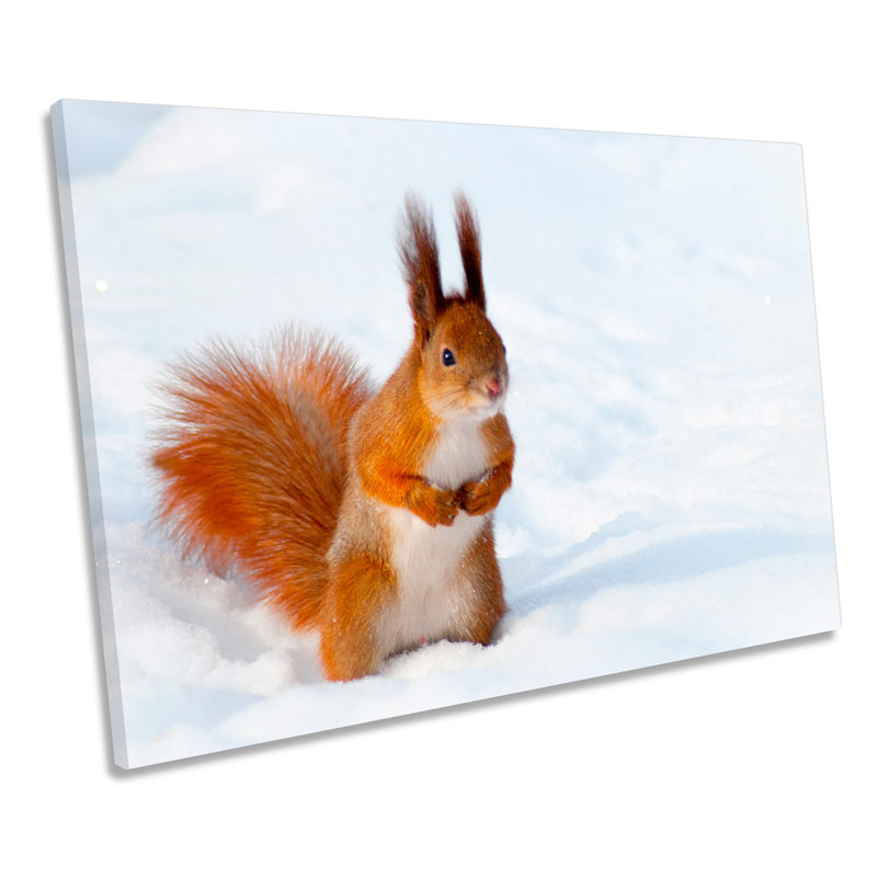 Red Squirrel Snow - Wrapped Canvas Print, 81.3cm H x 121.9cm W x 4cm D