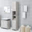 Lutrica Bathroom Cabinet-2019517036