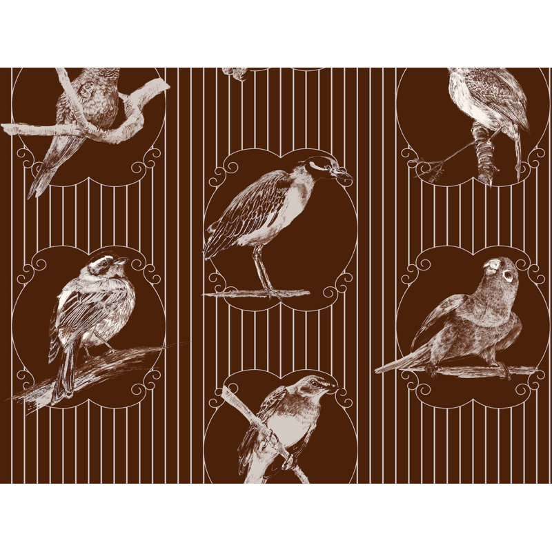 Papier peint oiseaux Makaya d'Haïti, Café