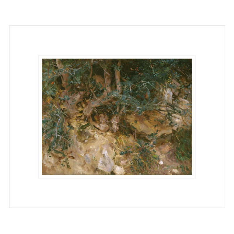 Valdemosa, Majorque: chardons et herbes sur une colline par John Singer Sargent, impression giclée encadrée