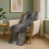 Gris anthracite