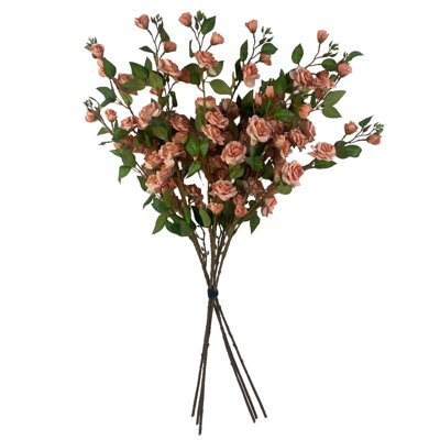 Antiqua Arrangement