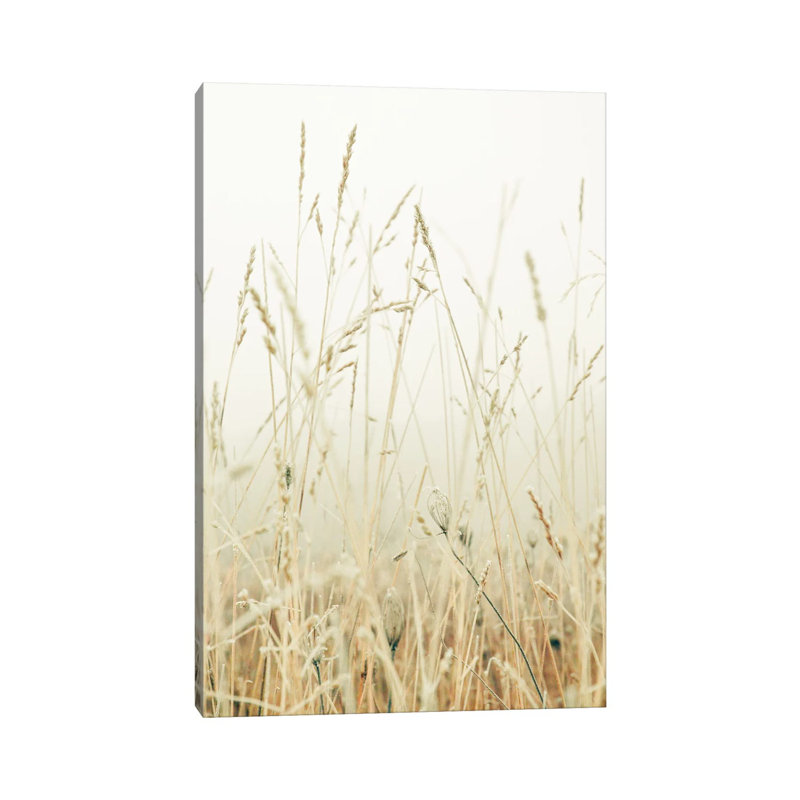 Winter Field I by Olivia Joy StClaire - Wrapped Canvas Print, 66.04 cm H x 45.72 cm W x 1.91 cm D