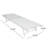 Audyn Outdoor Metal Chaise Lounge Set-111469396