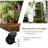 Plant Stand