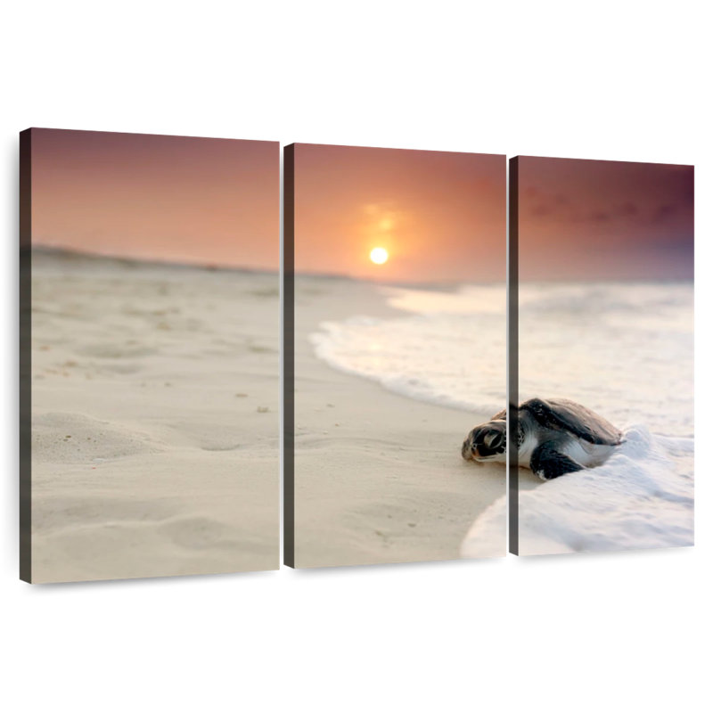 Tortue sur le rivage, H 20 po x l 33 po