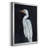 " Calm Great Egret I "-715581185-715581190
