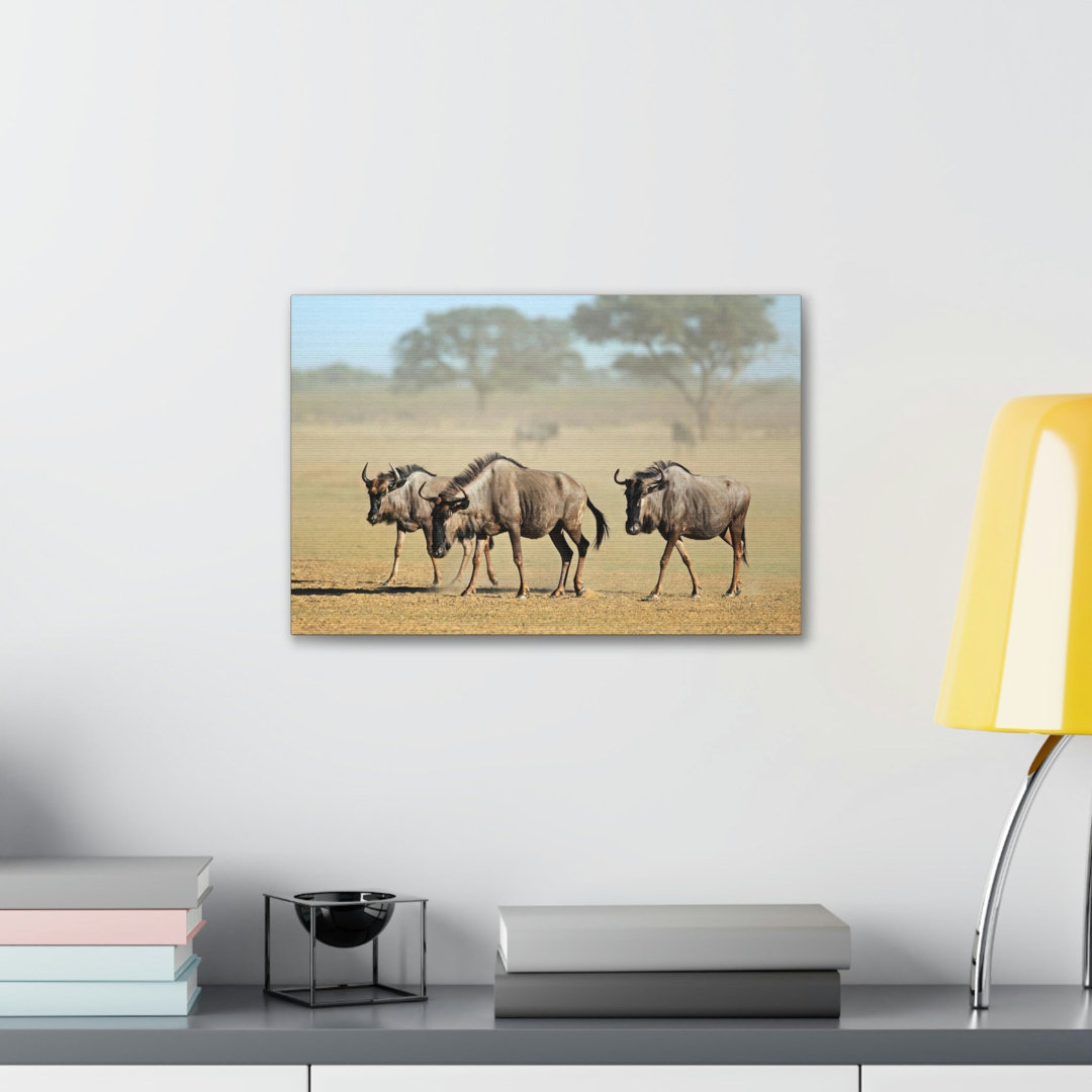 No Frame Print on Canvas