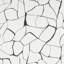 Schumacher x Porter Teleo Filigree Wallpaper-59340194
