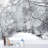 Tree Branches Covered Snow Winter-88769668