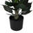 Potted Hydrangea - Small-1987285877