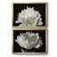 ALL AFLUTTER - ensemble de 2 reproductions-1778156544-1778156559-1778156557