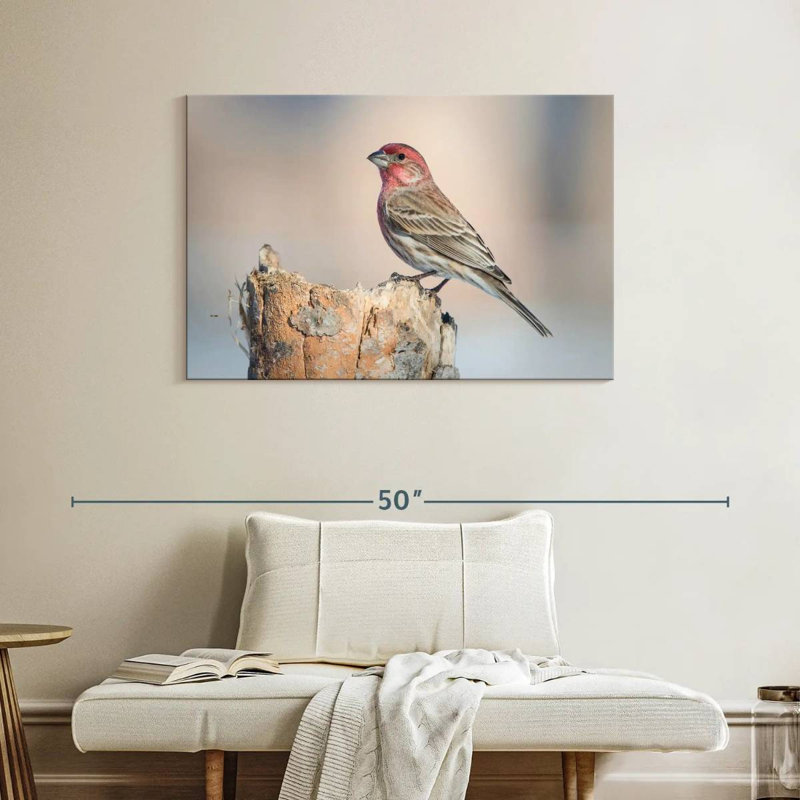 Crowle House Finch Bird, 26" H x 39" W