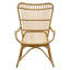 Monet Outdoor Lounge Chair
