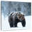 Crowle Winter Brown Bear-109396278
