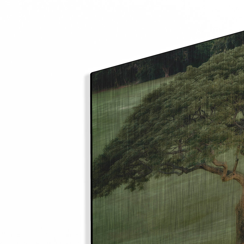 " Single Tree " by Dennis Frates, 16" H x 24" W
