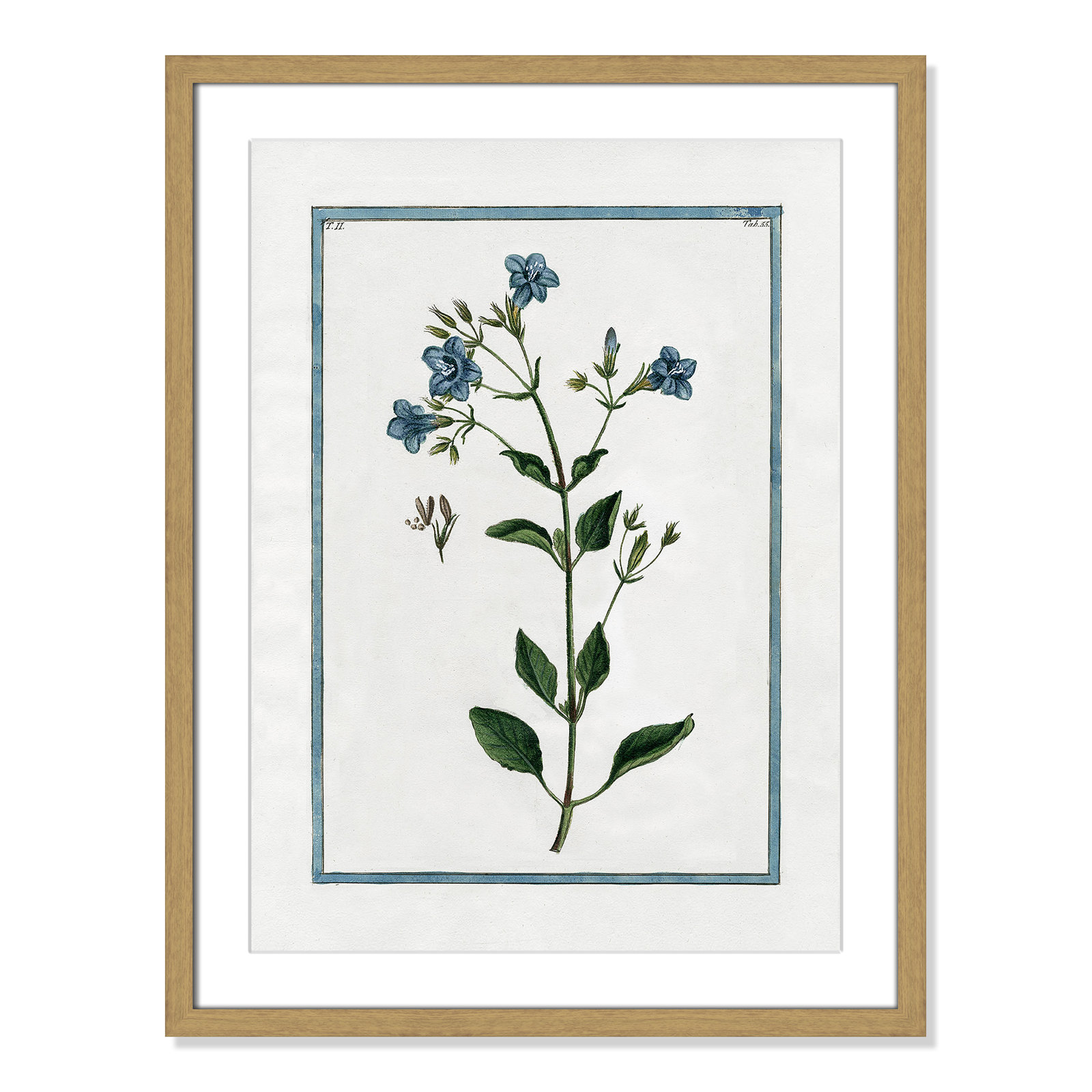 Shabby Elegance Botanical II - Framed Art, 17" W x 23" H, Natural Framed
