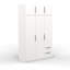 Nikoll 6 Door Manufactured Wood Wardrobe-1401786687-1401786686