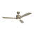 Ridley 52'' Ceiling Fan with LED Lights