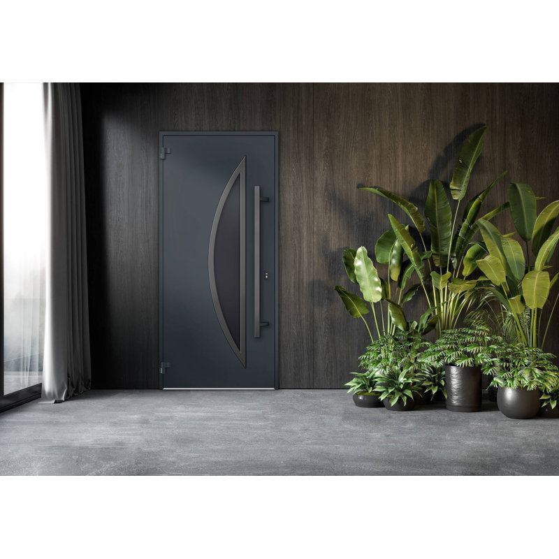 Porte avant en acier pré-suspendue à l'avant / deux inserts anthracite / inoxydable 6501 simples modernes peints - l 36 po x H 80 po -Ins droite