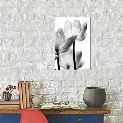 Debra Van Swearingen - Print on Canvas