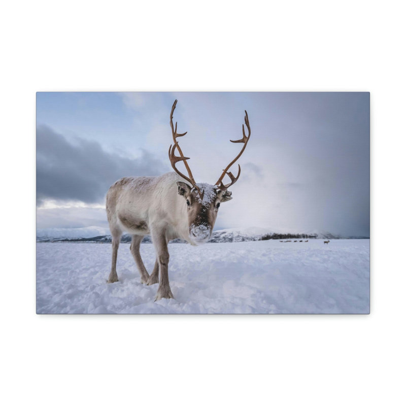 No Frame Print on Canvas