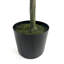 Olive artificiel 180 cm - Décorez votre maison avec de la verdure. - Feuilles, branches minces. Pour plus de commodité. 71,51 H x 27,02 P P Apportez de la nature à l'intérieur. Structure de branche réaliste, olives mauve foncé.
