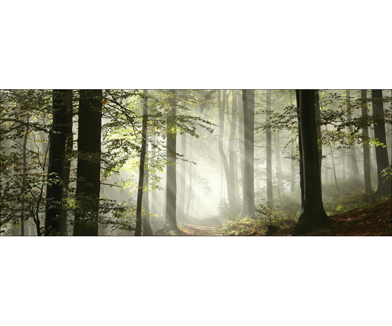 No Frame Print on Glass, 50 cm H x 125 cm W x 1.4 cm D