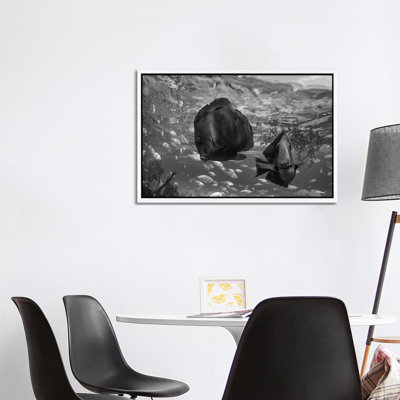 Butterflyfish pair and Blue Chromis, Balicasag Island, Philippines 1 Piece Wall Art on Canvas