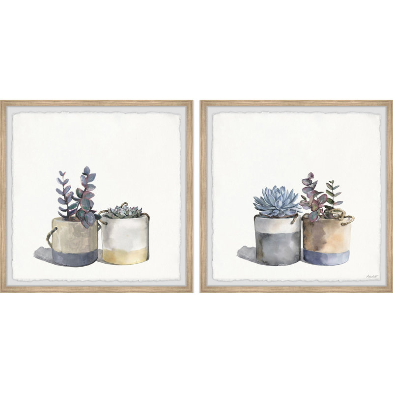 Succulent Pots Diptych, H 18 po x l 18 po