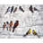 Colorful Birds Blue Bedroom Placemat - Polyester Home Decor