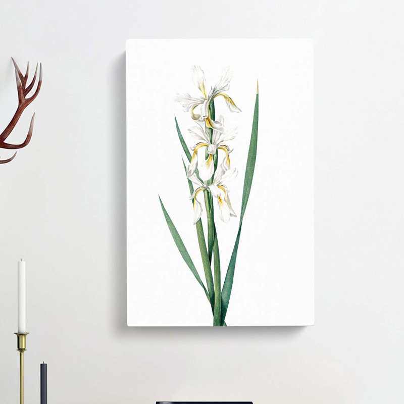 Yellow-Banded Iris Flowers by Pierre-Joseph Redoute - Wrapped Canvas, 60cm H x 40cm W x 3cm D