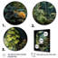 «Kyriel Bathroom Botanical Retreat I», reproduction sur toile encadrée-207619013-207619033