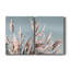 «Pretty Pampas I», reproduction de photo sur papier-473267246-473267260-473267235