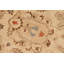 Tapis beige / brun en laine noué à la main 7 pi 10 po x 10 pi 6 po Oriental