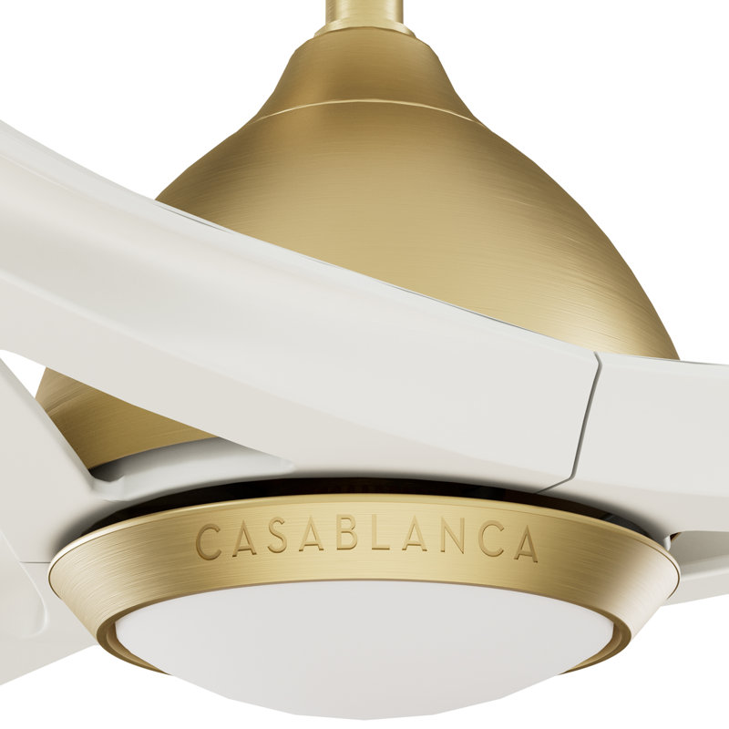 Casablanca 54 inch Elise ENERGY STAR®  Damp Rated Ceiling Fan with Lights and Wall Control