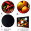 Ensemble de 4 décorations murales 4 fruits des Caraïbes