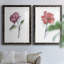 Watercolor Floral Contour III Premium encadré mat - prêt à être accroché-354314947-354314944