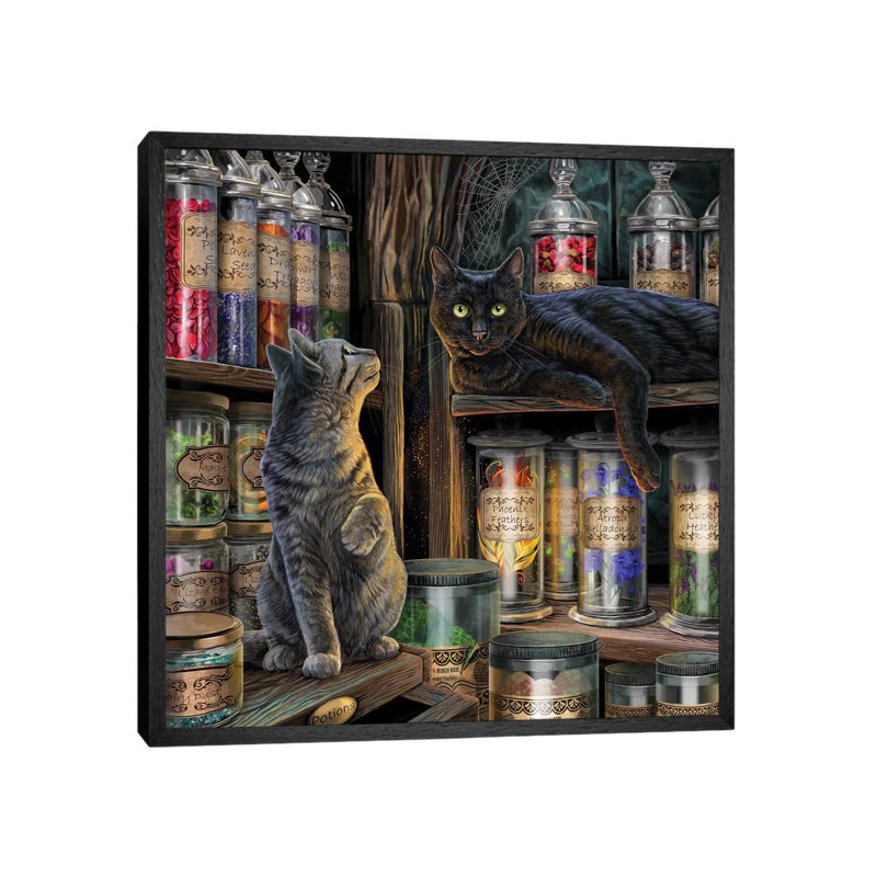 Magical Emporium by Lisa Parker - Print on Canvas, Black Framed Canvas, 93.98 cm H x 93.98 cm W