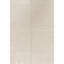 Area Rug in Ivory