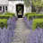 Kassaraba Lavender Arrangement-1198063915