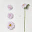 Ensemble de dahlia 17 po-86903294
