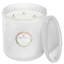 Wildflowers 5 Wick Hearth