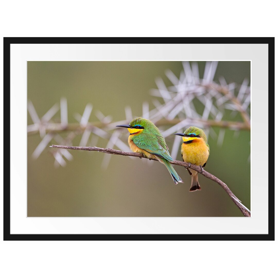 Gerahmtes Papierbild - Fotografie „Birds on a Branch”