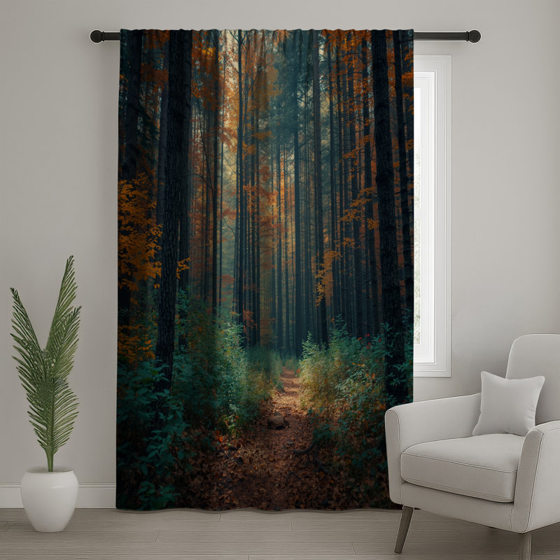 Autumn Forest Pathway, rideaux transparents et occultants - 1 panneau, 50 po x 92 po - 1 panneau, Transparent