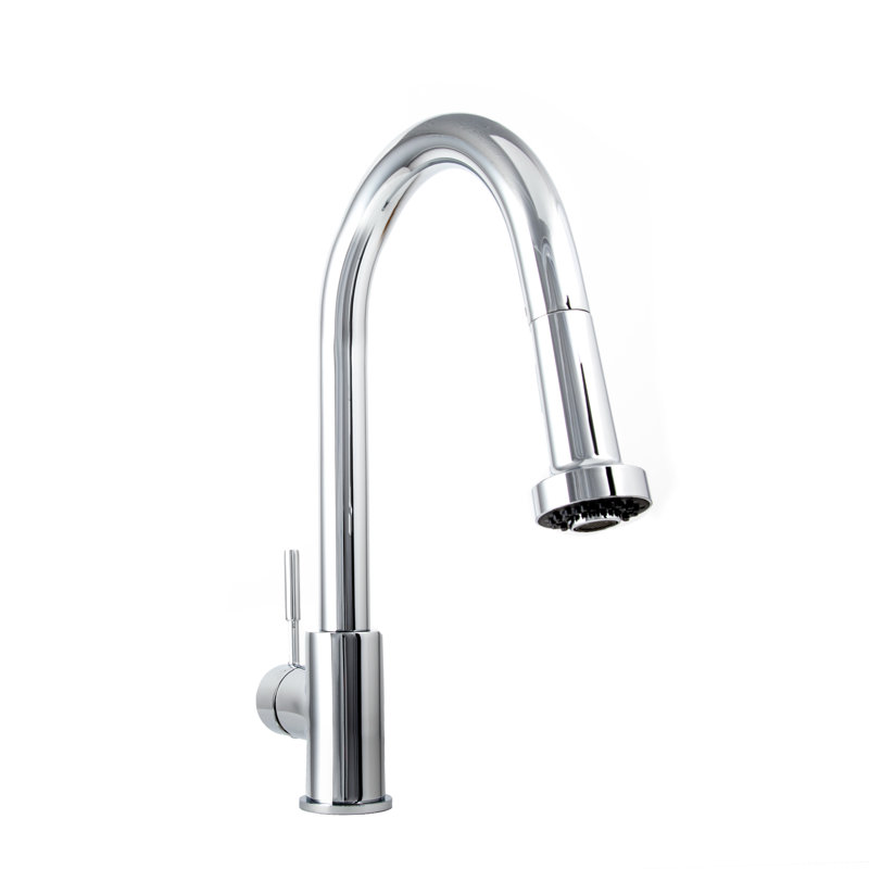 Monet Single Handle Kitchen Faucet with Side Spray and Accessories, Chrome