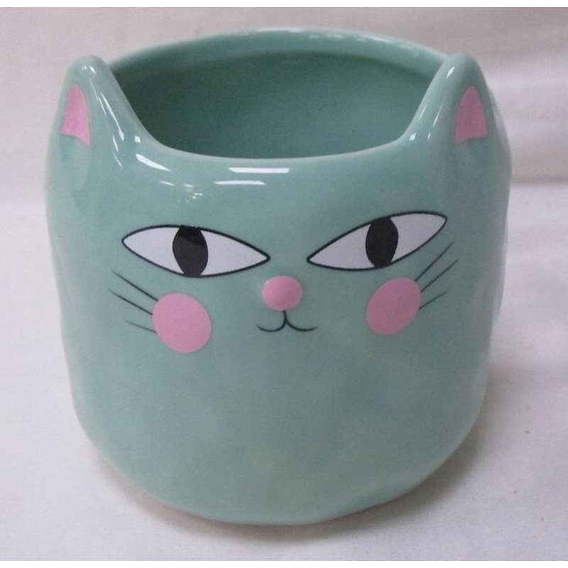 Pot à fleurs Jaeden Aqua Cat, H 3 po x l 3 po x P 3 po