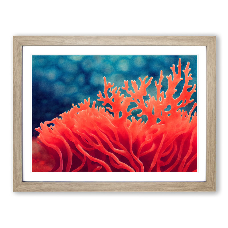 Coral Reef Vol.1 - Framed Print, 25cm H x 34cm W x 2cm D, Oak Framed